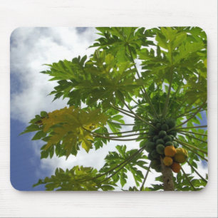 Tapis De Souris Pacifique Sud, Polynésie française, Moorea.2