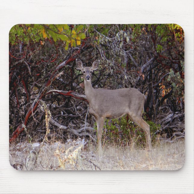 Tapis De Souris Pacifiquement.... (Devant)