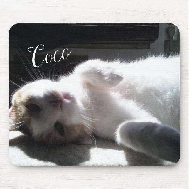 Tapis De Souris Pad de souris Feline Chat ! (Devant)