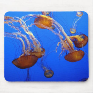 Tapis De Souris Pad de souris - Méduse