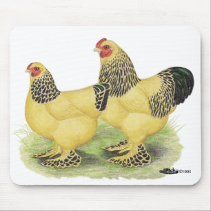 Tapis De Souris Paire Brahma Buff