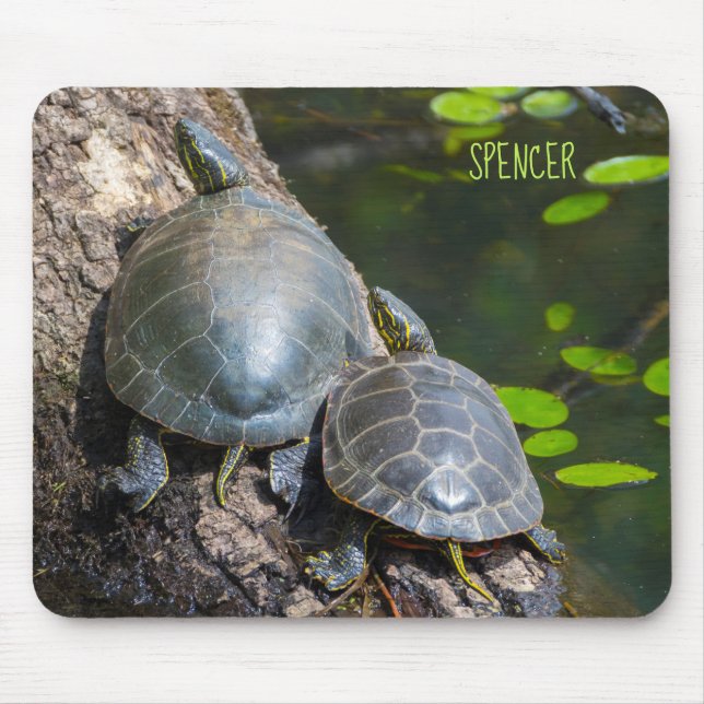 Tapis De Souris Paire de tortue peinte (Devant)