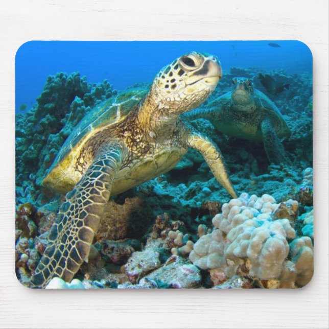 Tapis De Souris Paires de tortue (Devant)