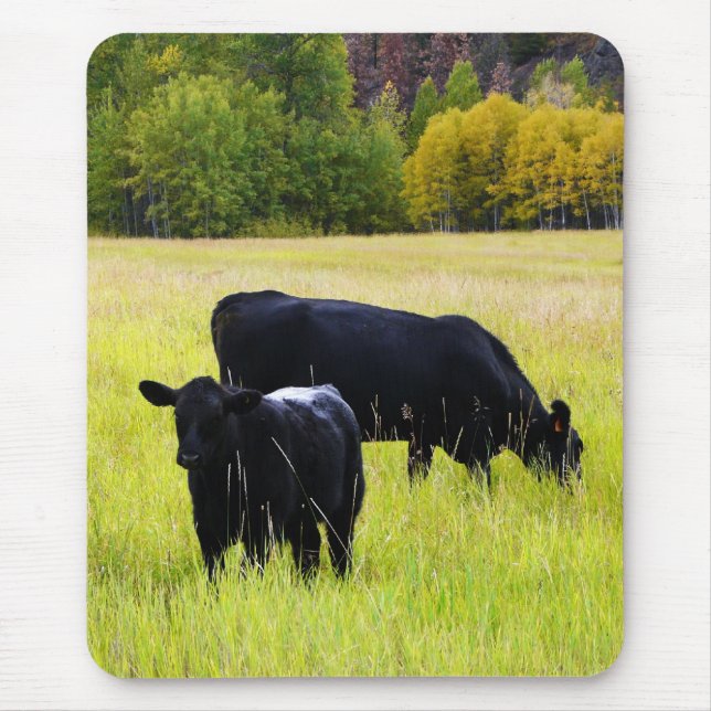Tapis De Souris Paires noires d'Angus dans le domaine (Devant)