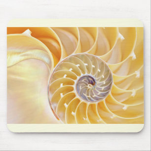 Tapis De Souris Palette de souris Nautilus