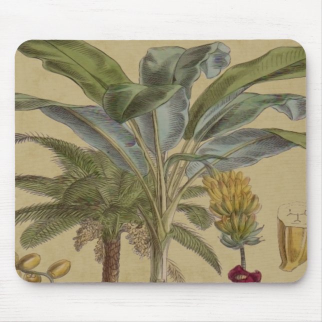 Tapis De Souris Palm Antique Fruit Tropical Art Botanique (Devant)