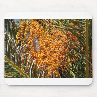 Tapis De Souris Palm de date