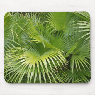 Tapis De Souris Palmettes