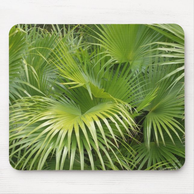 Tapis De Souris Palmettes (Devant)