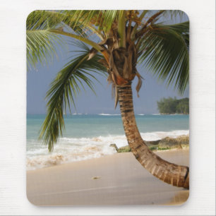 Tapis De Souris palmier exotique sur la plage