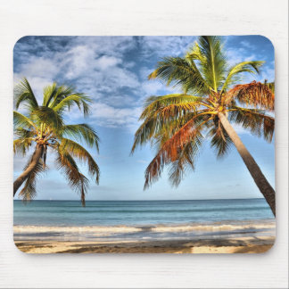 Tapis De Souris palmiers