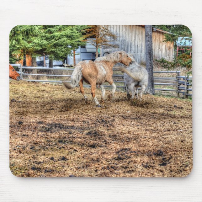 Tapis De Souris Palomino et Cheval de Ranch Blanc (Devant)