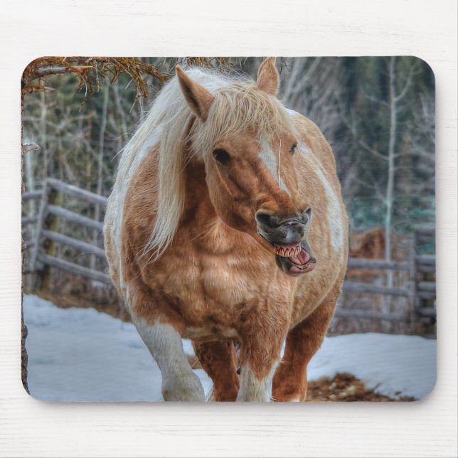 Tapis De Souris Palomino Paint Ranch Horse Equine Photographie (Devant)