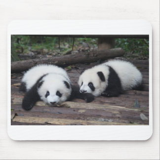 Tapis De Souris Panda