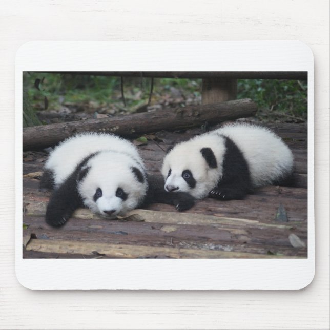 Tapis De Souris Panda (Devant)