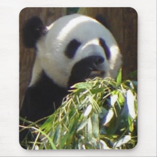 Tapis De Souris Panda