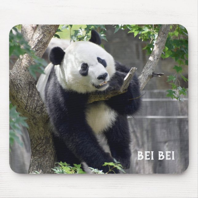 Tapis De Souris Panda Bei Bei Mousepad géant (Devant)