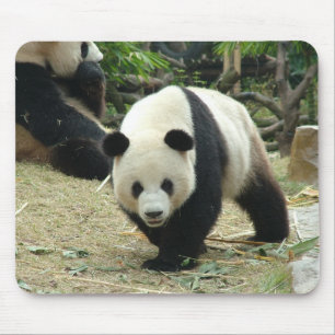 Tapis De Souris Panda géant