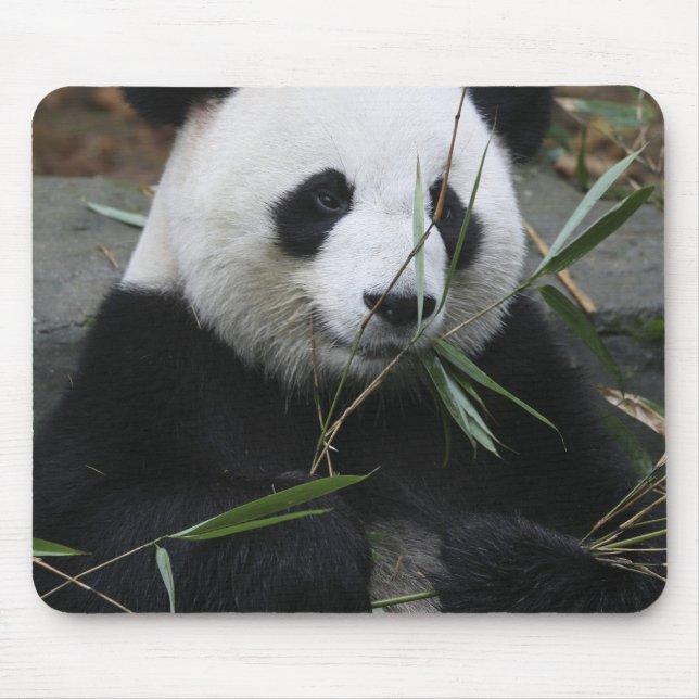 Tapis De Souris Panda géant (Devant)