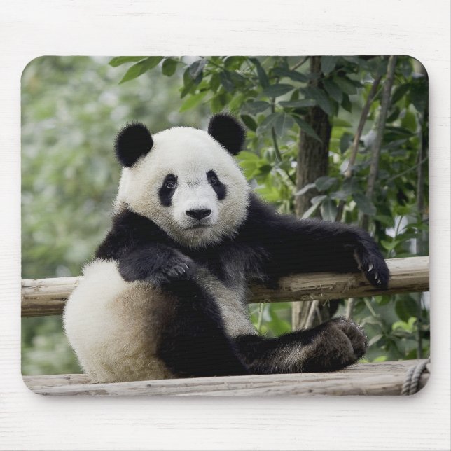Tapis De Souris Panda Relax Time Pouse Pad (Devant)