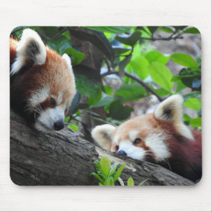 Tapis De Souris Pandas rouges
