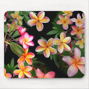Tapis De Souris Panier de souris Plumeria