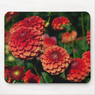 Tapis De Souris Panier de souris Red Dahlia