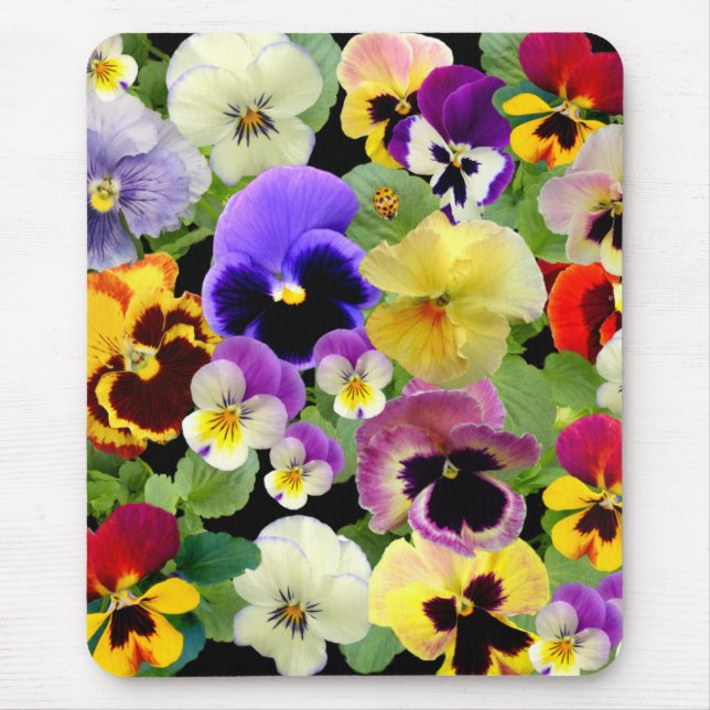 TAPIS DE SOURIS PANSY DELIGHT (Devant)
