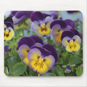 Tapis De Souris Pansy mousepad
