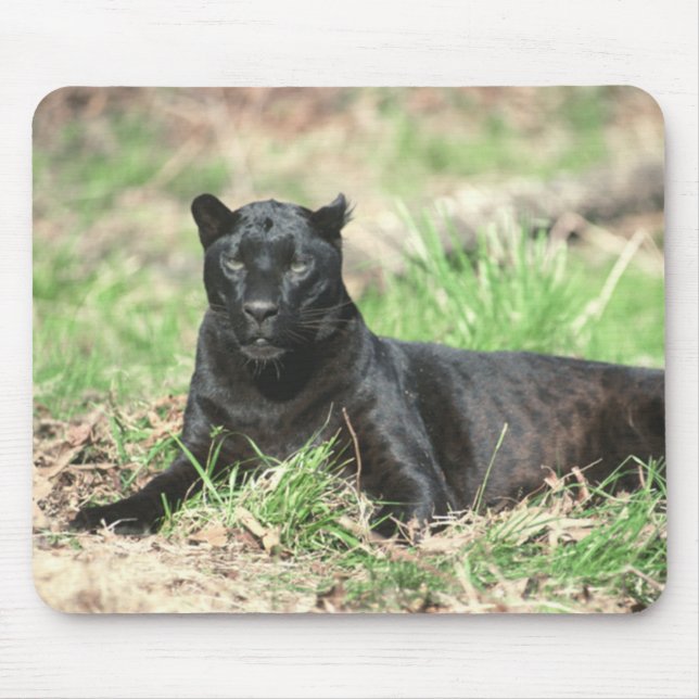 Tapis De Souris Panther noire Mousepad (Devant)