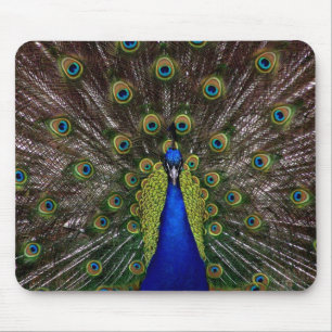 Tapis De Souris paon