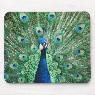 Tapis De Souris Paon Mousepad