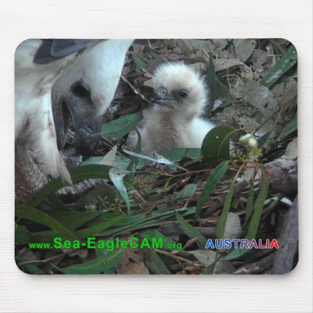 Tapis De Souris Papa avec S2 Mousepad 5 horizontaux (Devant)