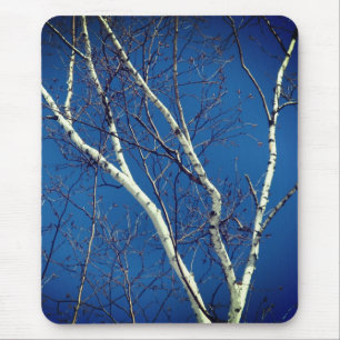 Tapis De Souris Papier blanc Arbre à bouleau Ciel bleu Nature