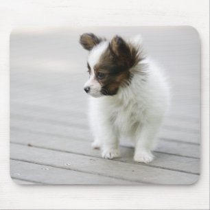 Tapis De Souris Papillon
