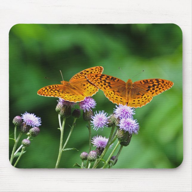 Tapis De Souris Papillon (Devant)
