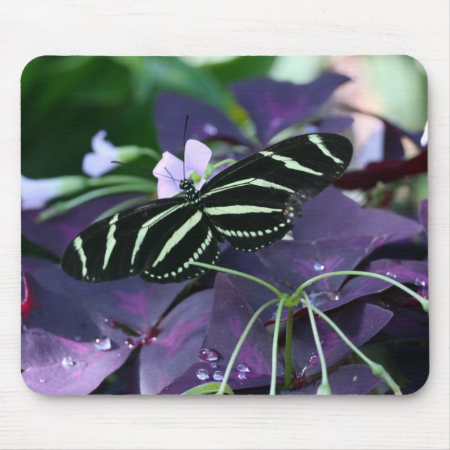 Tapis De Souris Papillon à aile longue Zebra (Devant)