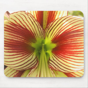 Tapis De Souris Papillon Amaryllis