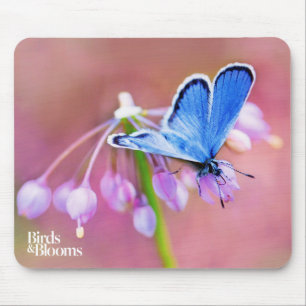 Tapis De Souris Papillon azuré