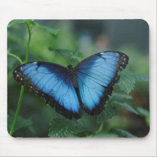 Tapis De Souris Papillon bleu Mousepad
