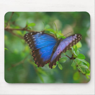 Tapis De Souris Papillon bleu Mousepad de Morpho