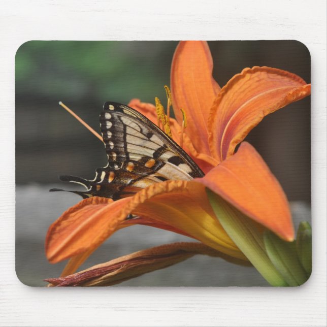 Tapis De Souris Papillon dans le mousepad de lis (Devant)