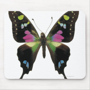 Tapis De Souris Papillon de Graphium