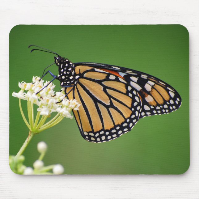 Tapis De Souris Papillon de monarque sur le Milkweed de marais (Devant)
