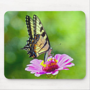 Tapis De Souris Papillon de queue de tigre