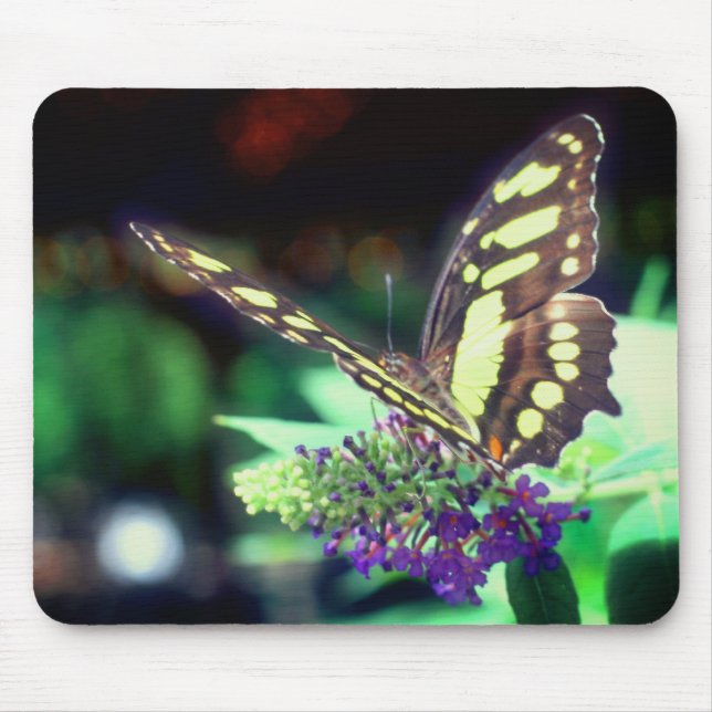 Tapis De Souris Papillon doux sur la nature des fleurs (Devant)