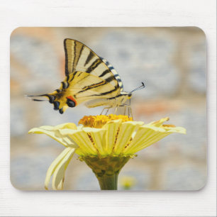Tapis De Souris papillon, fleurs, nature