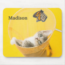 Papillon jaune et chaton attrapés dans le filet