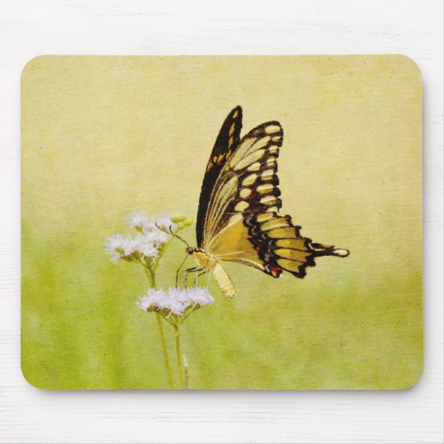 Tapis De Souris Papillon jaune Fleur sauvage Art Pad (Devant)