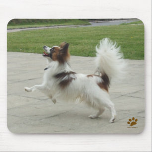 Tapis De Souris Papillon Jumping